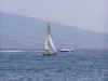 napoli15.jpg (12051 byte)