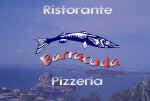barracuda.jpg (17020 byte)